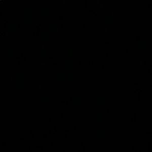 Meet your Posher, Brendan